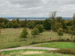 Bustur 2022 – foto 37