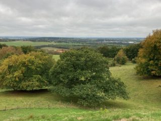 Bustur 2022 – foto 38