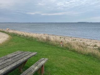 Bustur 2025 – foto 10