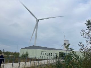 Bustur 2025 – foto 22