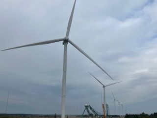 Bustur 2025 – foto 28