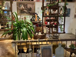 Bustur 2026 – foto 20