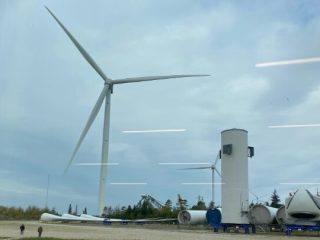 Bustur 2025 – foto 21