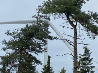 Bustur 2025 – foto 25