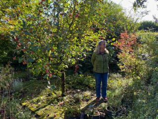Bustur 2026 – foto 17
